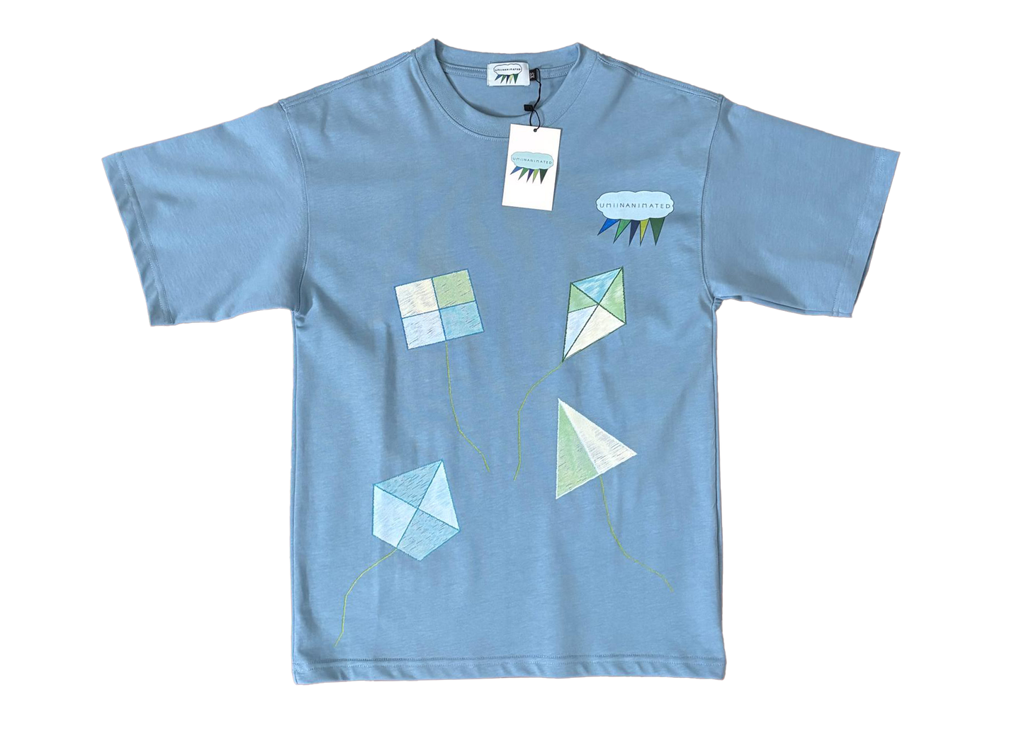 Unisex Oversized T-shirt Kite Design