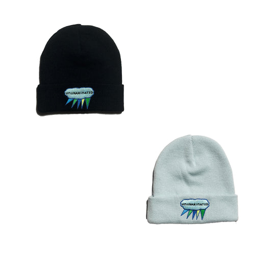 Unisex Umiinanimated Embroidered Beanies