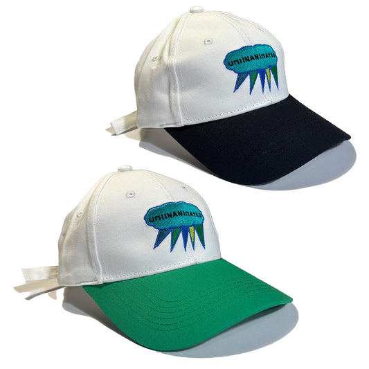 Unisex Umiinanimated Embroidered Design Caps